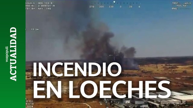 Un fuerte incendio arrasa una zona de pastos en la localidad madrileña de Loeches