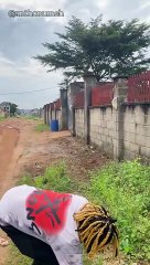 A snake sucked him - #Anthonumeh #FunnyVideos #africanfunnyvideos #anthonFunnyvideos