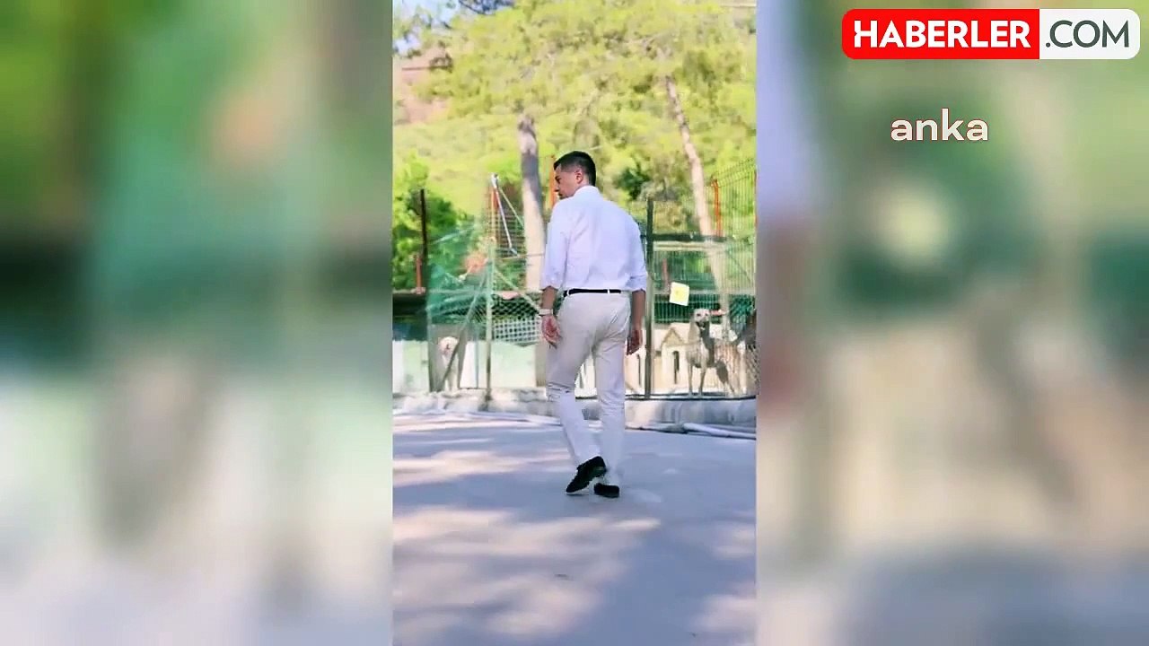 Marmaris Belediye Başkanı Acar Ünlü: Sokak hayvanları kanunu riskli