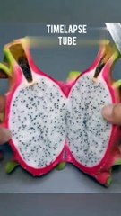 Dragon fruit growing