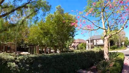 Irvine, California Vacation