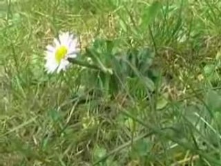 20sec. Home Sweet Home