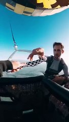 So...this was nuts...