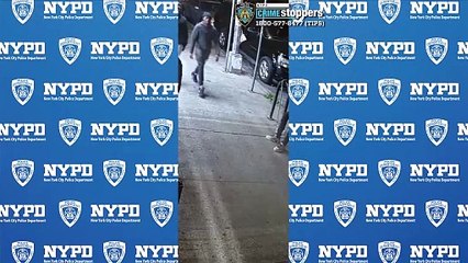 Men pulled out of vehicle in Brooklyn carjacking