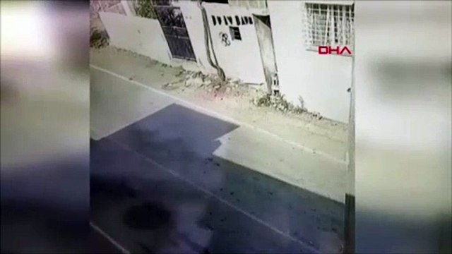 Katliam yasasından güç alanlar! Cani sürücü köpeği kamyonetin arkasına bağlayarak sürükledi