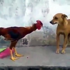 VID-20240731-WA0109