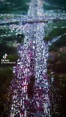 Imran khan the king is back 