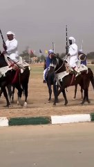 موسم التبوريدة في المغرب