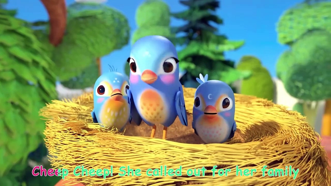 Itsy Bitsy Spider (Birdie Edition) - CoComelon Nursery Rhymes & Kids Songs