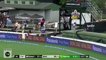 King Kane Williamson puts Kiwis in front