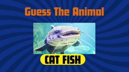 Guess the animal by emoji in 3 seconds Hard, Medium , Easy