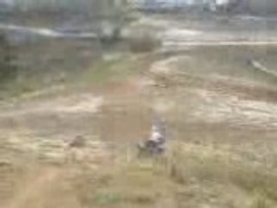 Saut 350 raptor mimi91