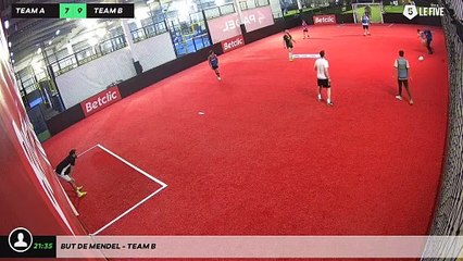 But de Mendel - Team B