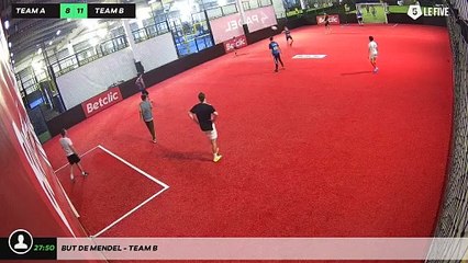 But de Mendel - Team B