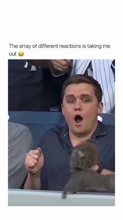 ️