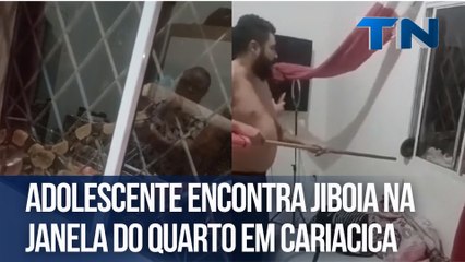 Adolescente encontra jiboia na janela do quarto em Cariacica