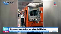 Árbol cae en las vías de la Línea 5 del Metro de la CDMX