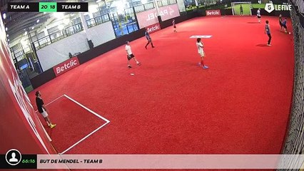 But de Mendel - Team B