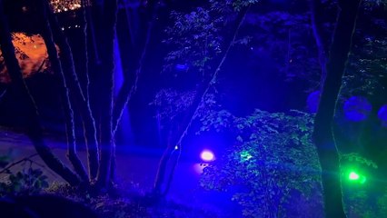 Bohemian Grove Cremation Of Care Ceremony.