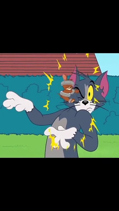 Jerry loves tom very lovely beautiful video must watch there lovely friendship video