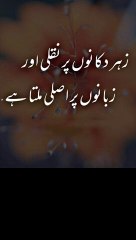 Islamic video number 17