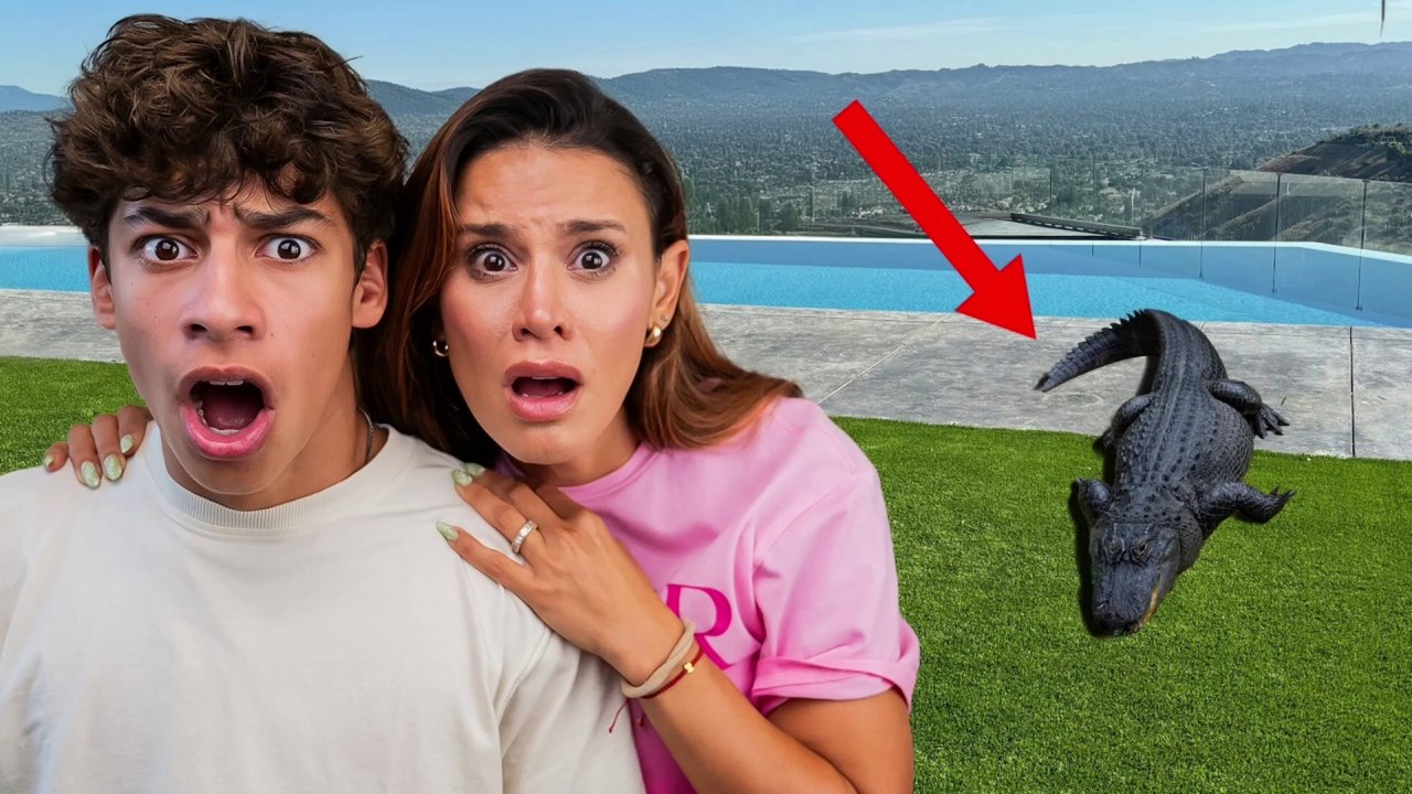 we Found an ALIGATOR in our Backyard!