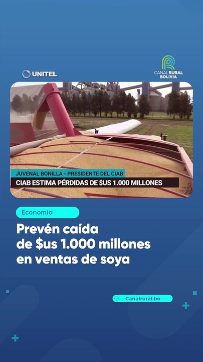 Prevén caída de $us 1.000 millones en ventas de soya