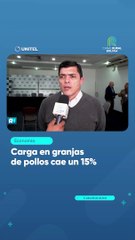 Carga en granjas de pollos cae un 15%