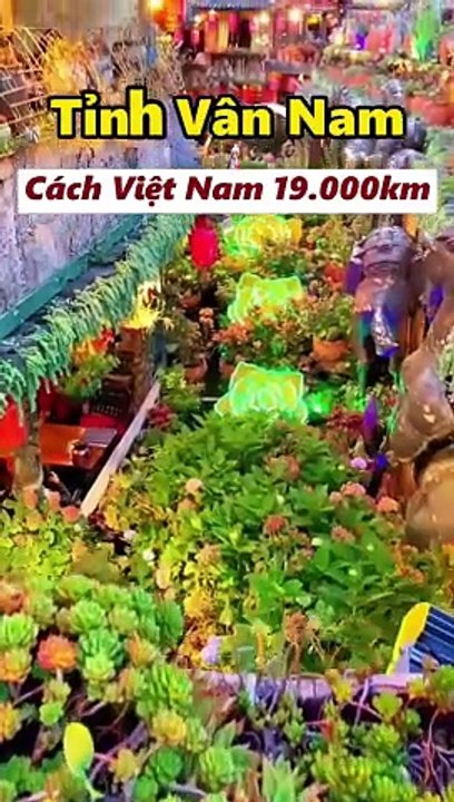 Khám phá Lệ Giang, vẻ đẹp cổ kính và hùng vĩ của núi rừng Trung Quốc #sgthichladi #dulichtrungquoc #trungquoc #legiang #shangrila #daily