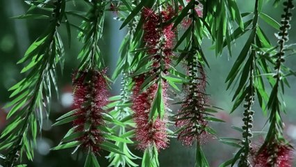 Sunja Aa Thandi Hawa