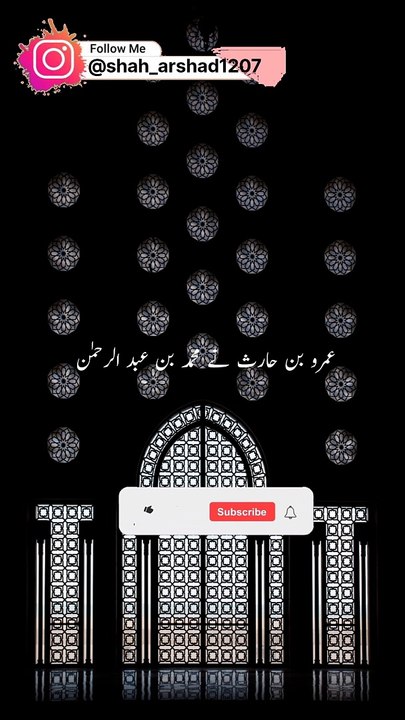 Umru bin haris ne Muhammad bin Abdul Rahman abul aswad se khabar di #hadees #muhammedsallahualihiwasallam #explore #fyp #islam