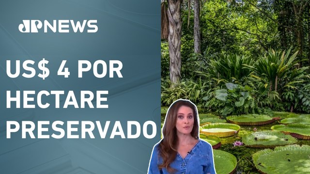 Brasil propõe criação de fundo bilionário para conservar florestas tropicais; Patrícia Costa analisa