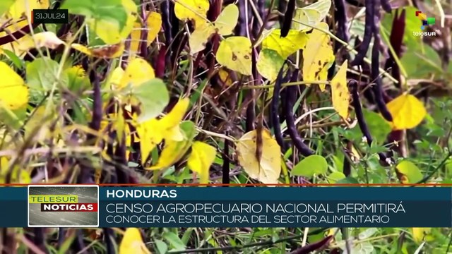 Gobierno de Honduras se evaluará el sector agropecuario pata fortalecer este sector