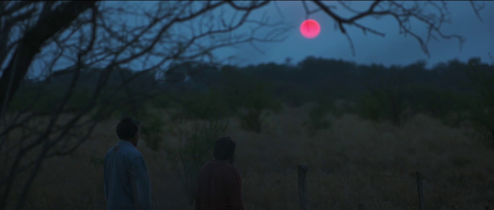 Boreal - Trailer