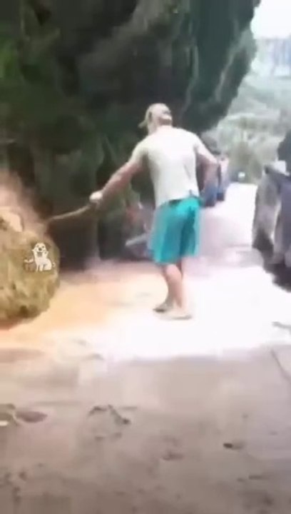 Lol_Funny_Moments