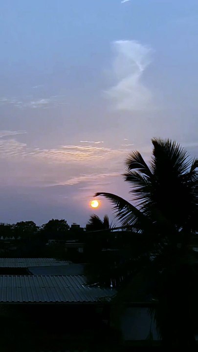 Sunset view