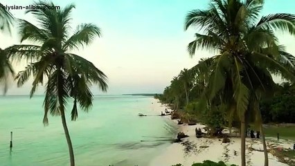 The Elysian Alibaug Raveshia Realty Villa Plots Bungalow Land Project