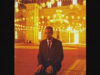 Fight pour la liberter malcom x et martin luther king