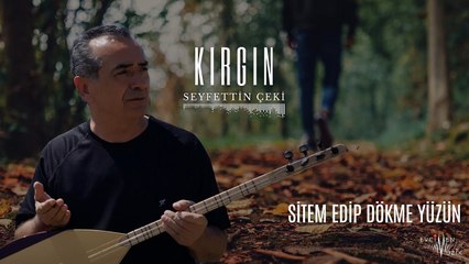 Seyfettin Çeki - Sitem Edip Dökme Yüzün (Official Audio)