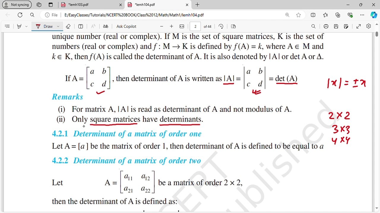 C12DeterminantP1