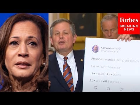 ‘Joe Biden’s Border Crisis Is Kamala Harris’s Failure’: Steve Daines Unleashes On 'Border Czar' VP