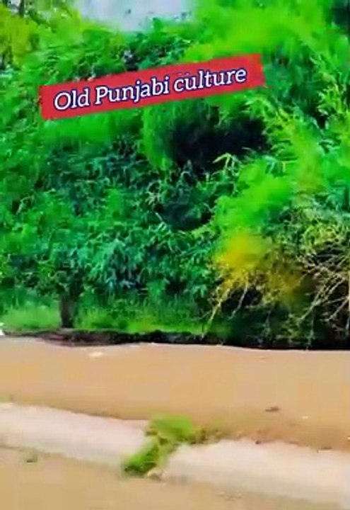Old culture of Punjab very beautiful view of village traditional village life in Punjab India and Pakistan