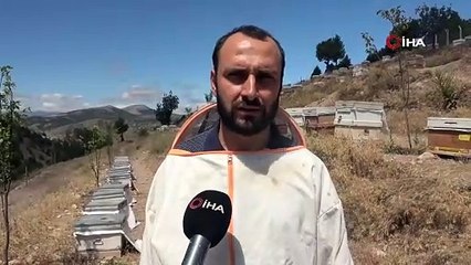 O Türkiye'nin en faydalı besinlerinden biri: 100 gramı 2 bin 500 TL'ye, kapış kapış satılıyor