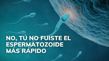No, tú no fuiste el espermatozoide más rápido