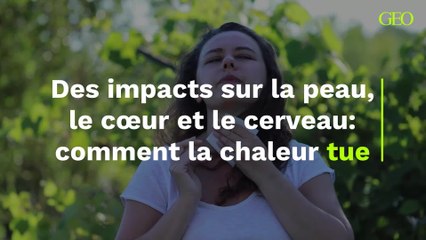 Des effets sur la peau, le cœur et le cerveau: comment la chaleur tue