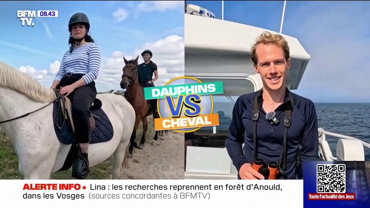 Balade à cheval ou sortie dauphins: les matchs de l'été des activités de vacances