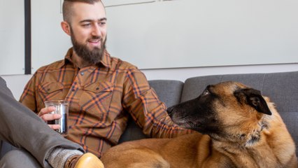 How dogs help their owners become healthier