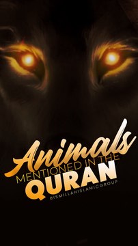 Animals Mentioned in Quran