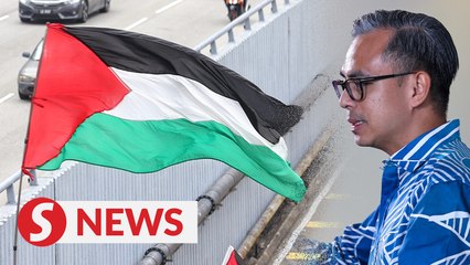 Video herunterladen: Bipartisan rally in solidarity with Palestine to be held on Aug 4, says Fahmi