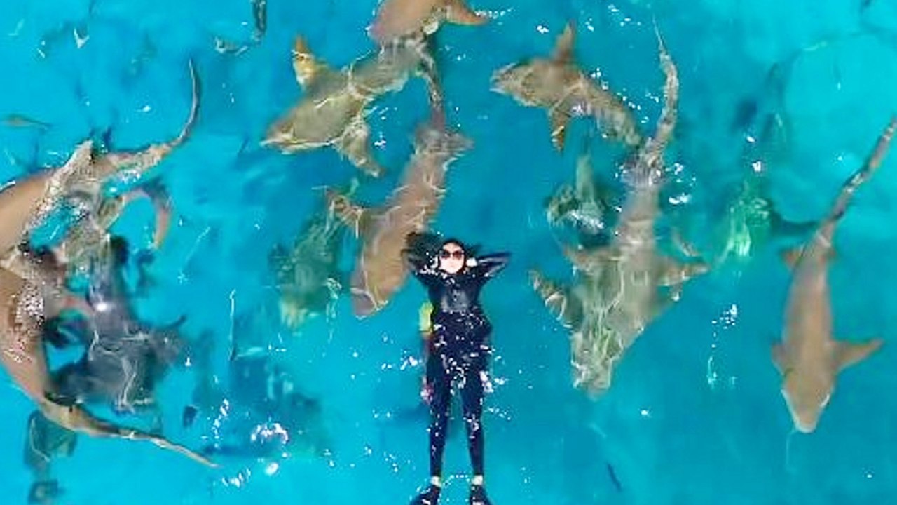 Frau überwindet ihre Angst, indem sie mit über 20 Haien schwimmt